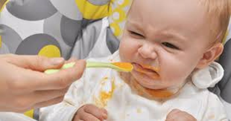 2.शिशु को खाद्य पदार्थ के रूप में क्या नहीं देना चाहिए